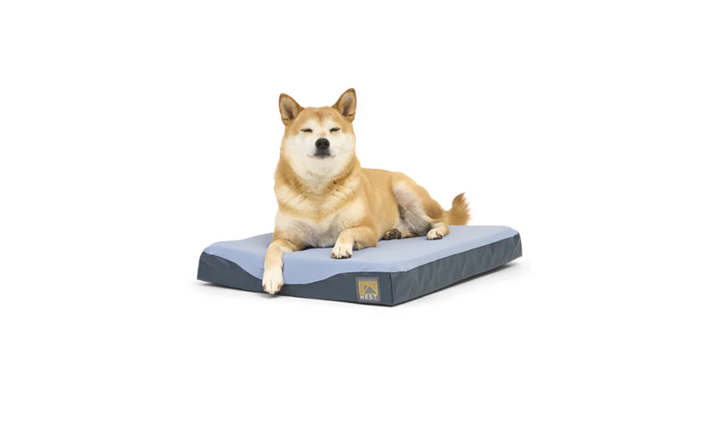 Mattress Outlet - Image 6